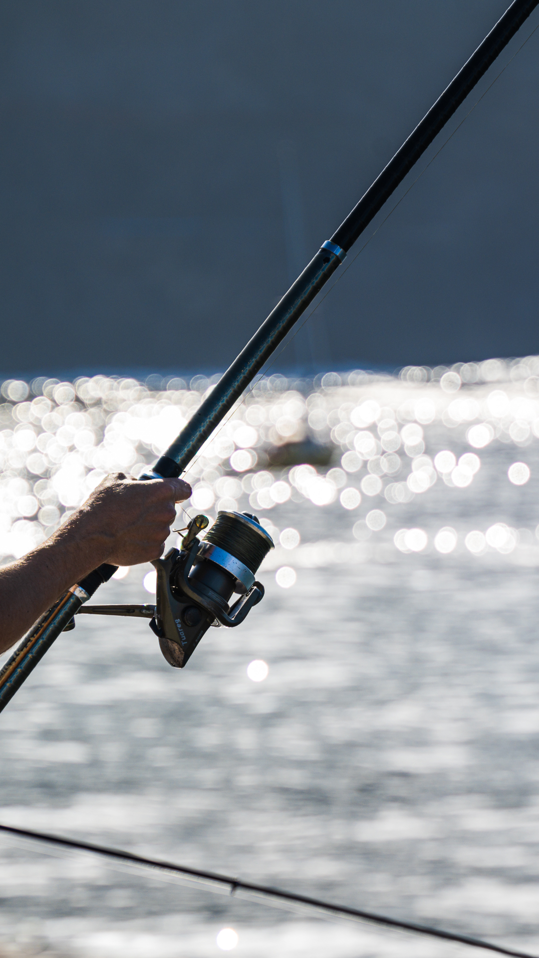 Angler