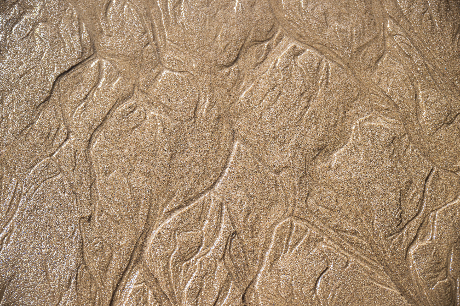 Sandmuster
