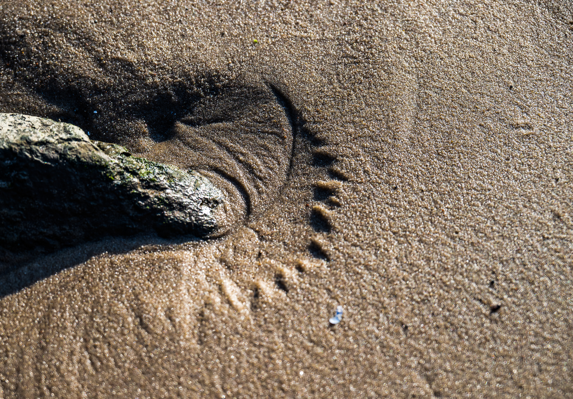 Stein im Sand