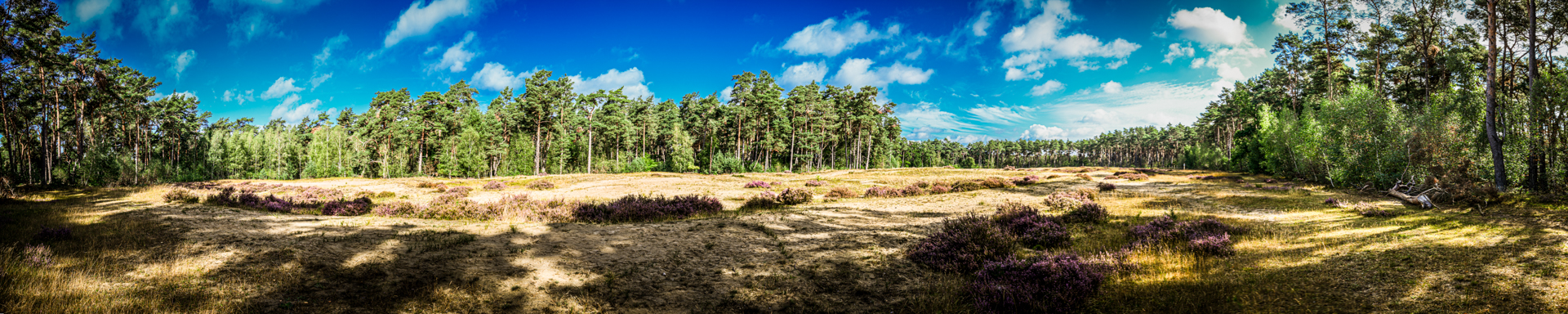 Holmer Sanberge