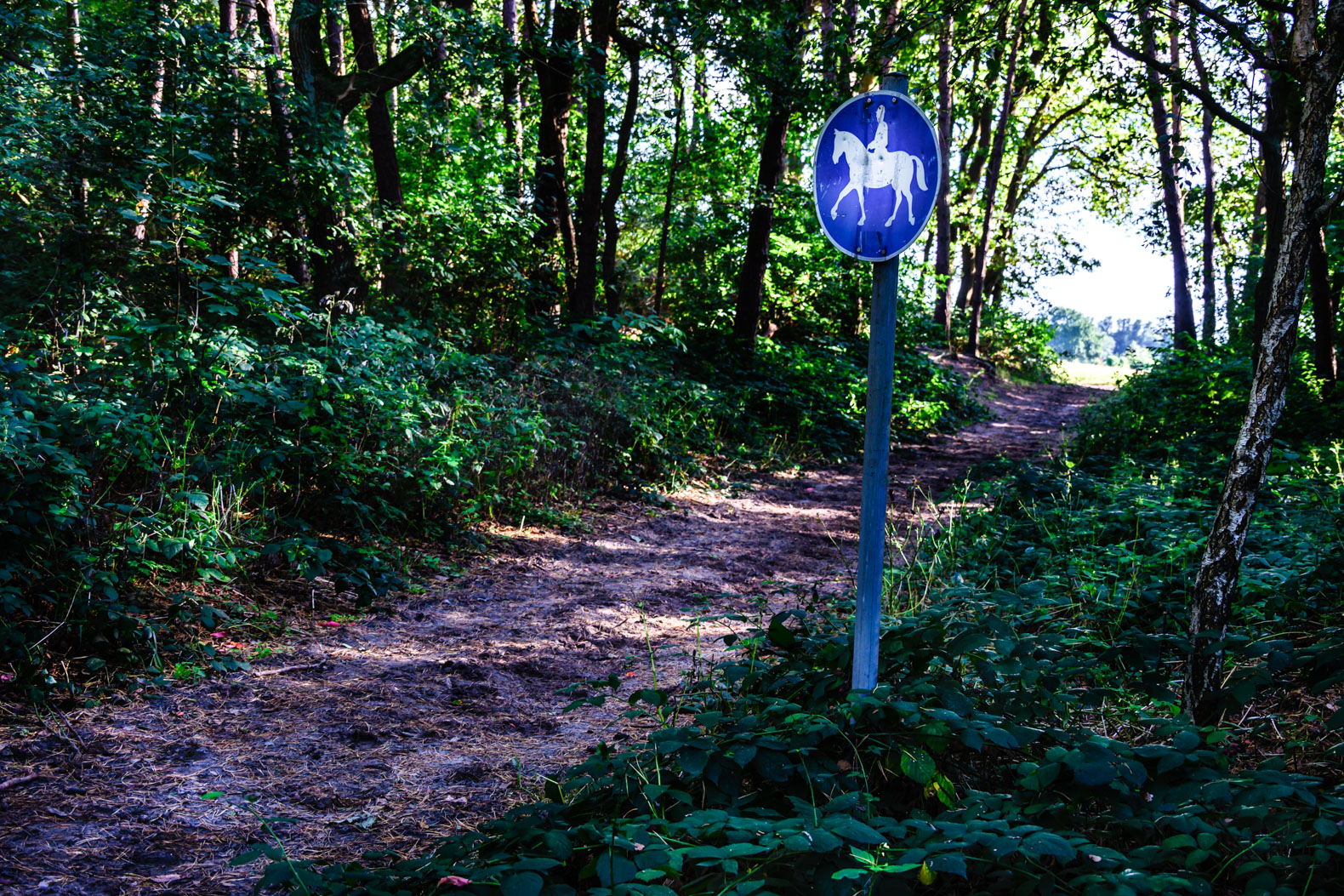 Reitweg