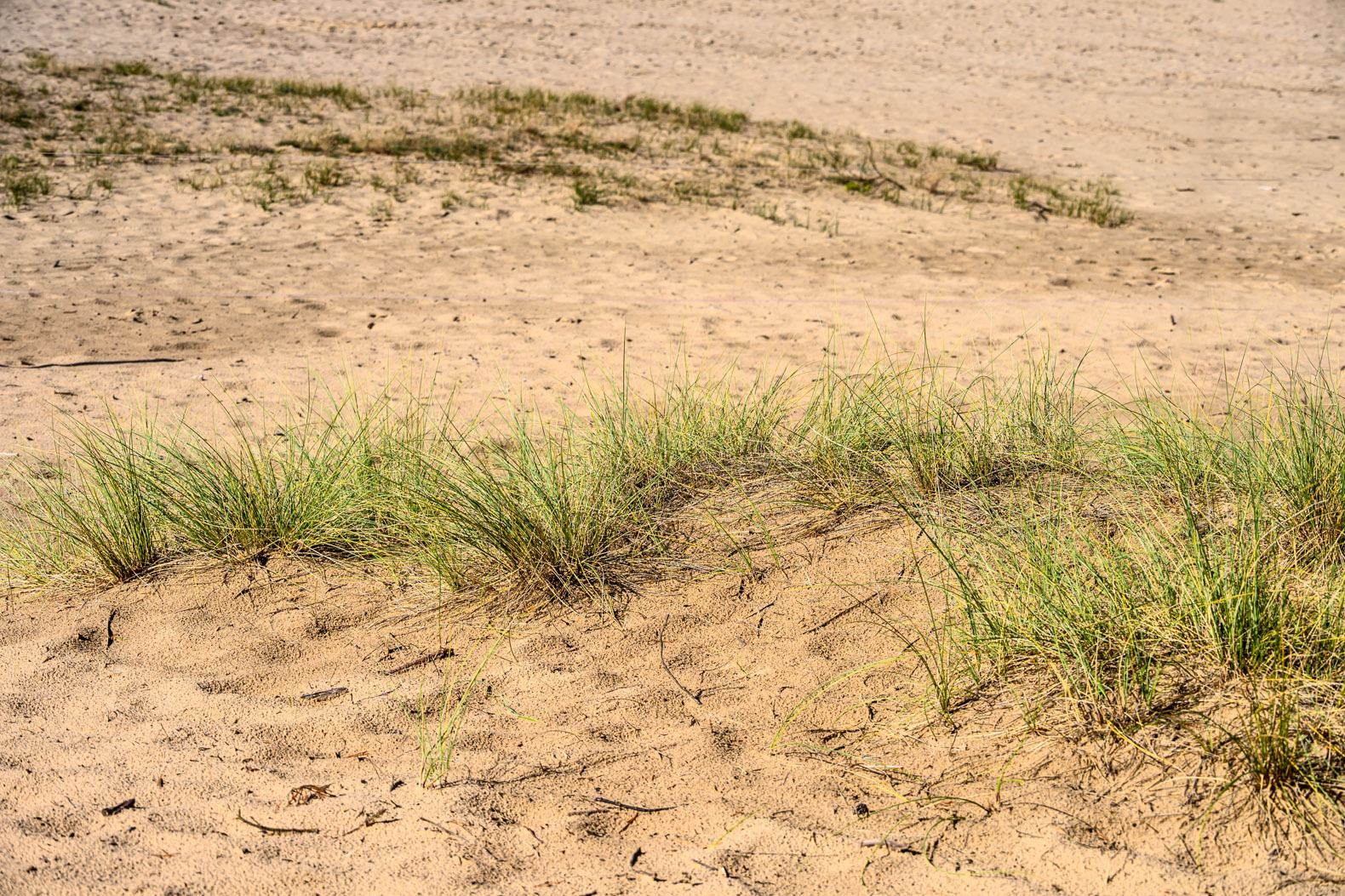 Sand