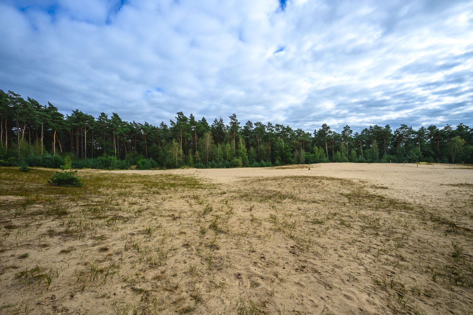 Sandfläche