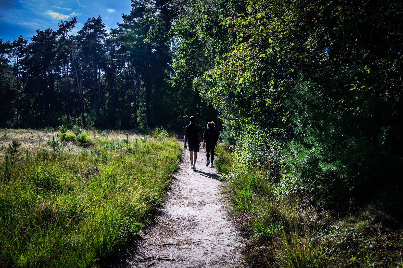 Spaziergang