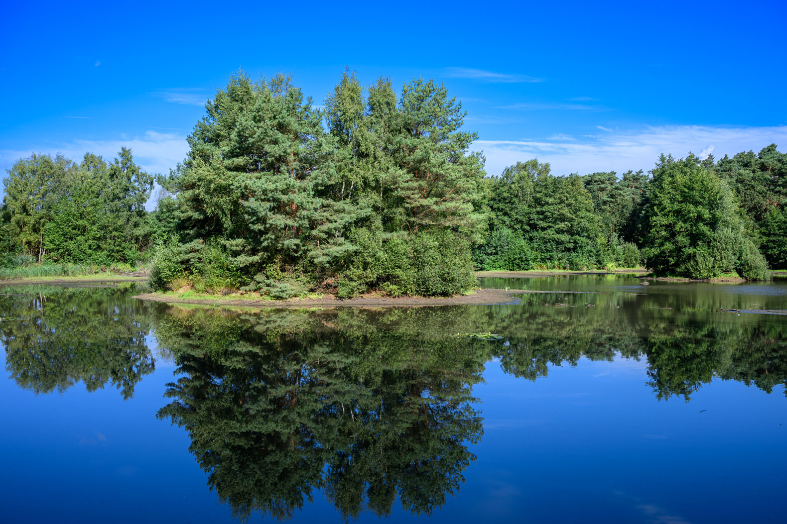 Spiegelung