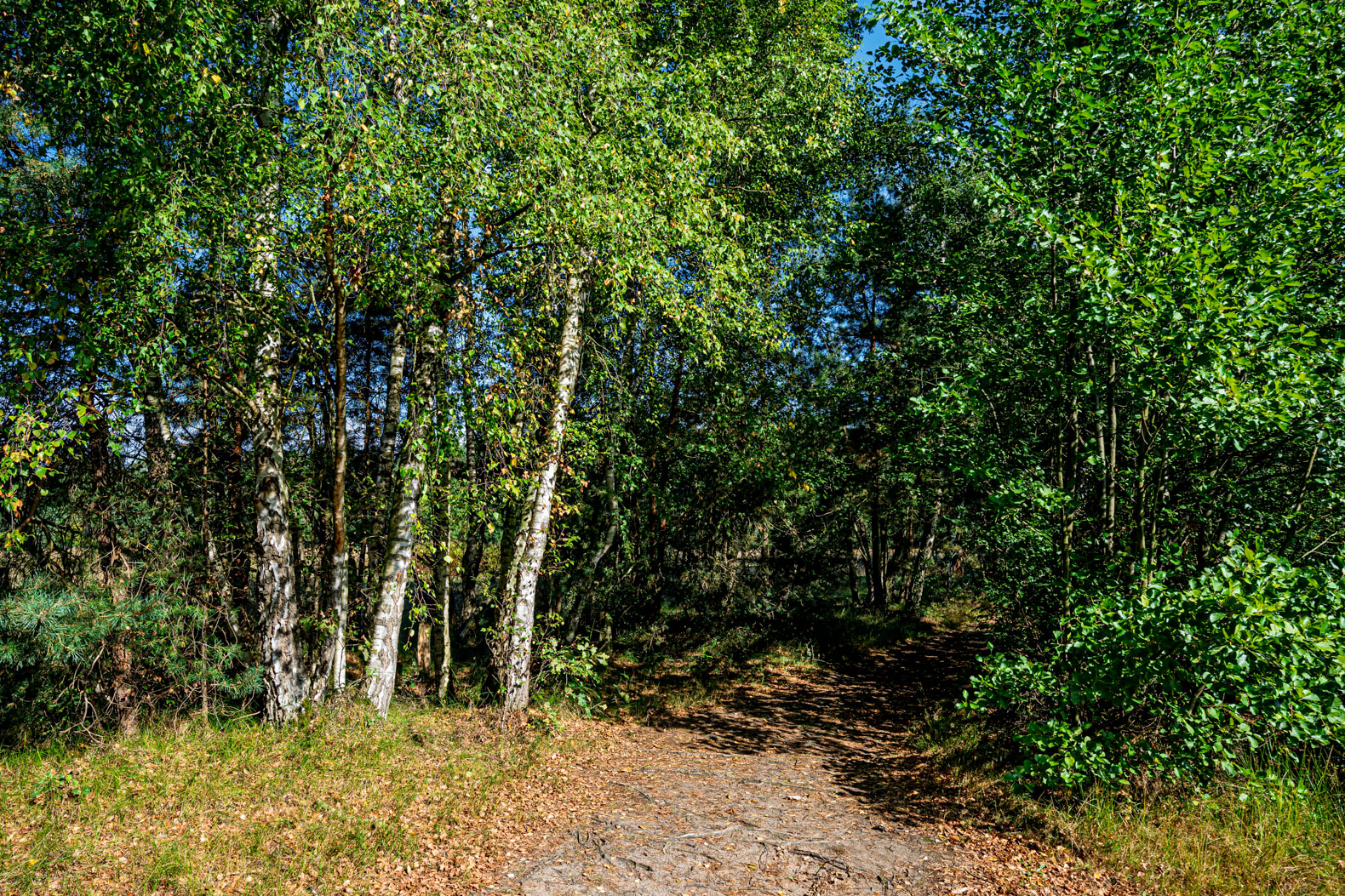 Wanderweg