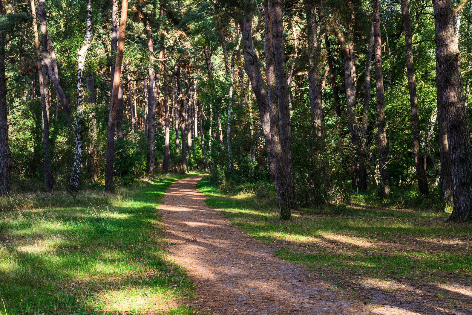 Wanderweg