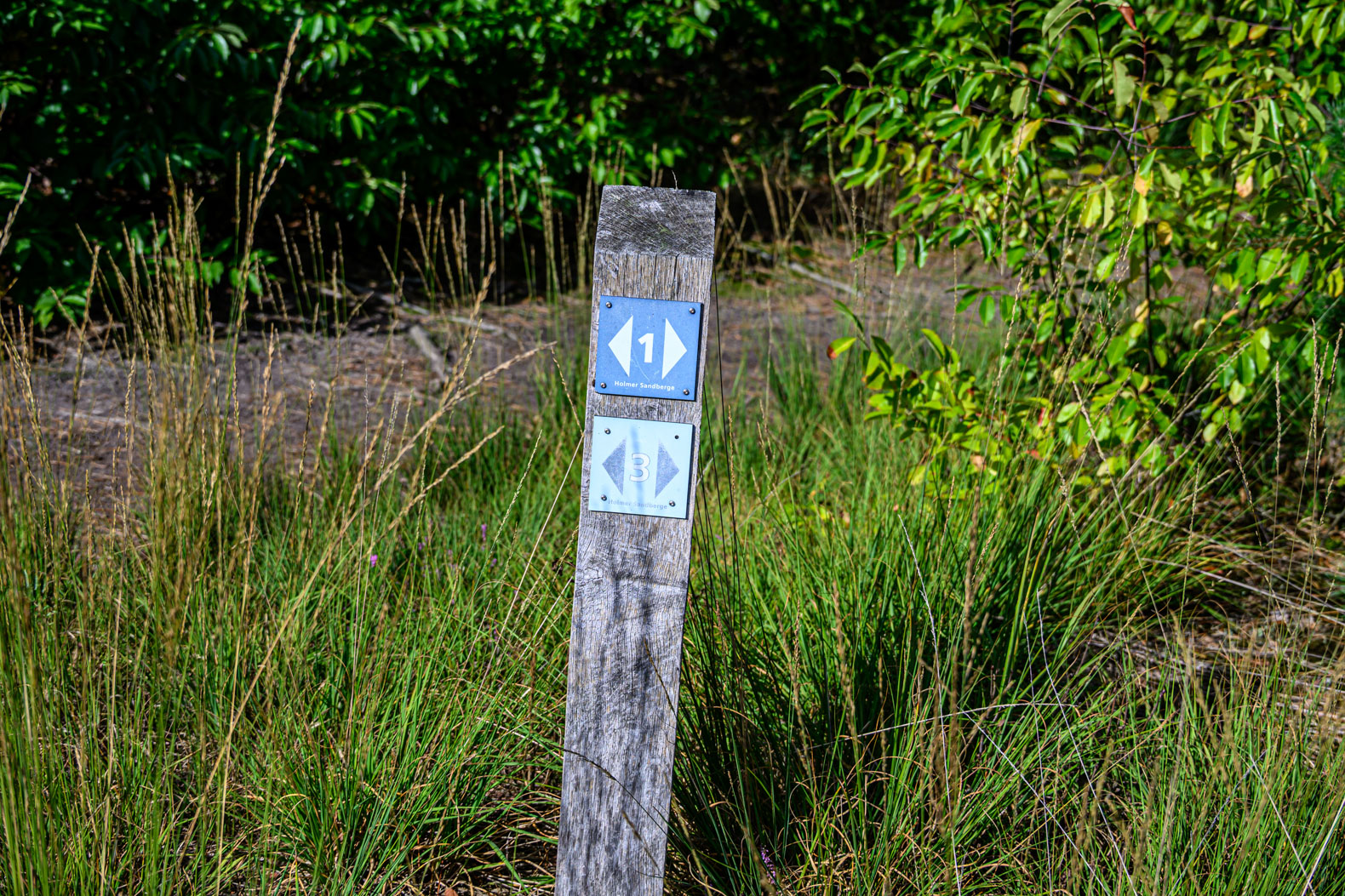 Wanderweg