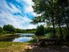 Teich