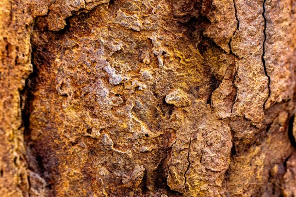 Rost