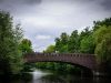 Brücke
