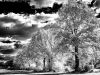 IR in S-W