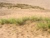 Sand