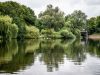 Alsterufer