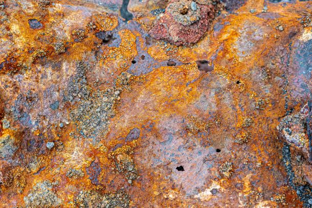 Rost