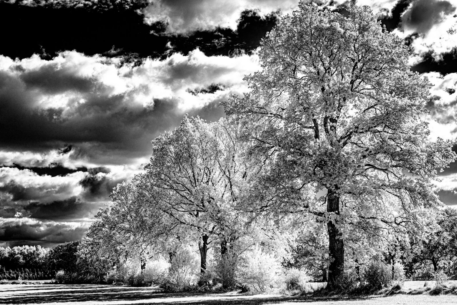 IR in S-W