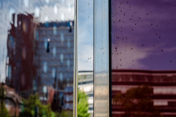 Hamburg im Spiegel
