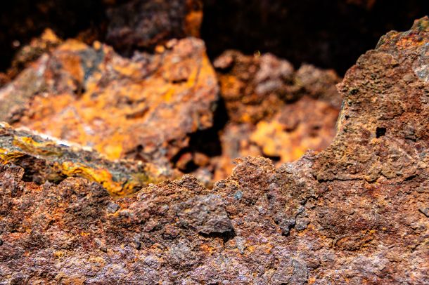 Rost