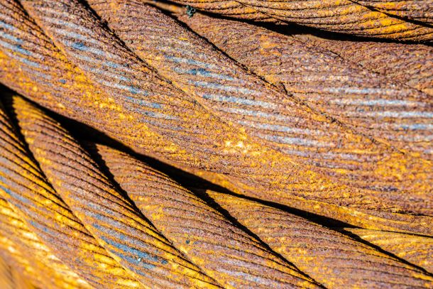 Rost