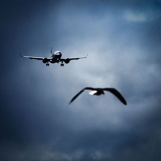Flieger