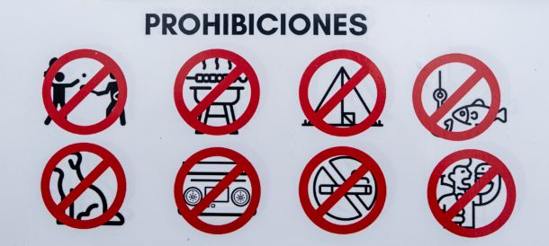 Schild
