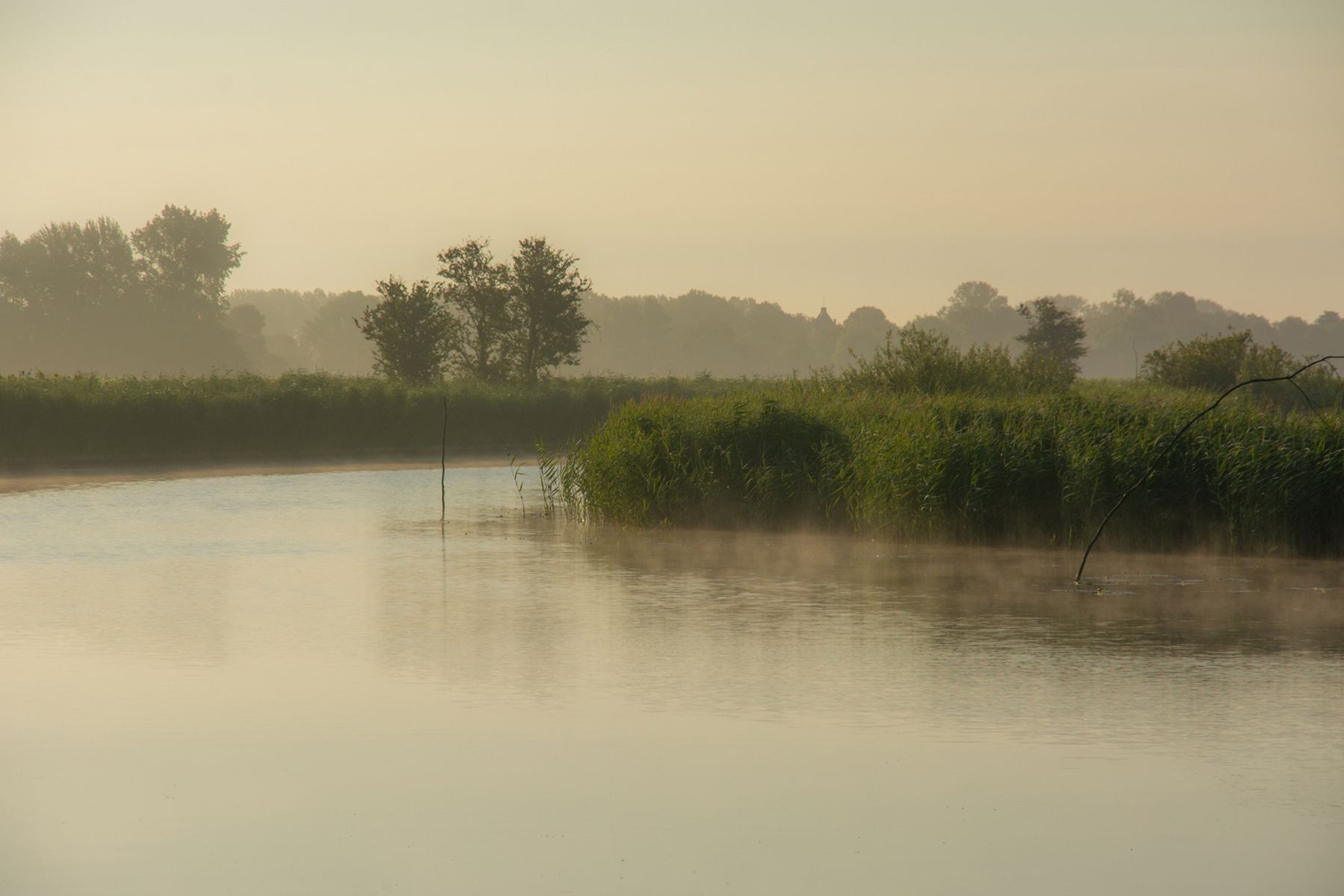 Fluss im Morgennebel